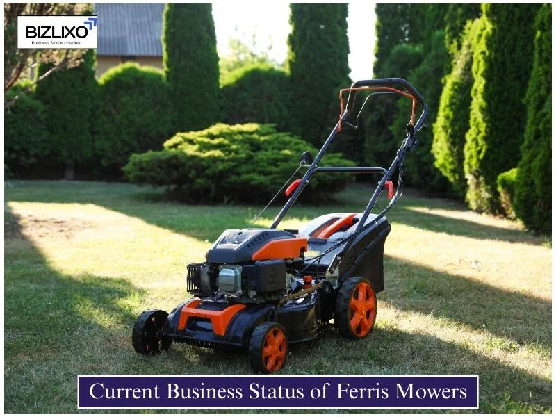 Current Business Status of Ferris Mowers