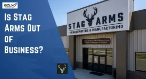 Is Stag Arms Out of Business