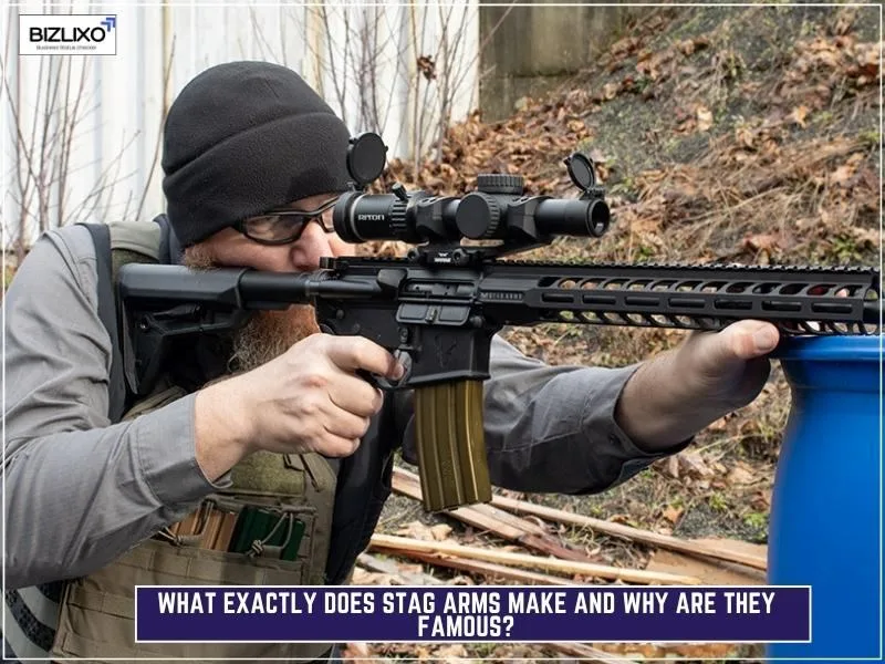 What Exactly Does Stag Arms Make and Why Are They Famous?